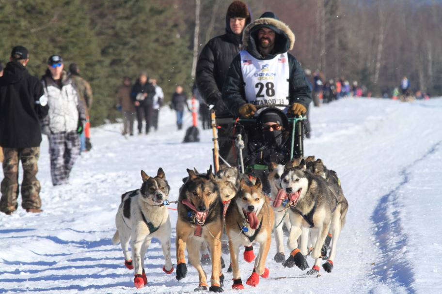 E&#39; il giorno dell&#39;Iditarod, la prova di sled dog pi famosa del pianeta. Ap